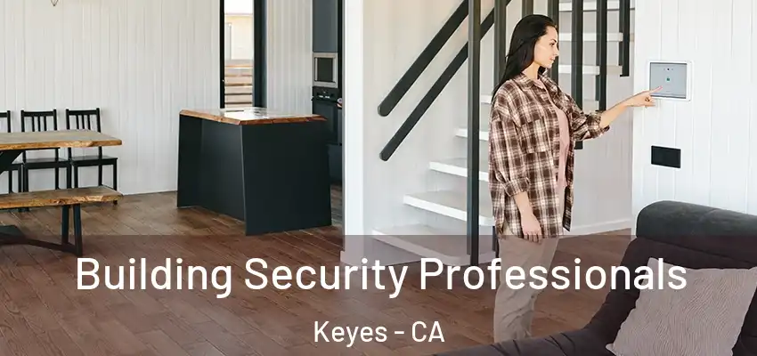  Building Security Professionals Keyes - CA