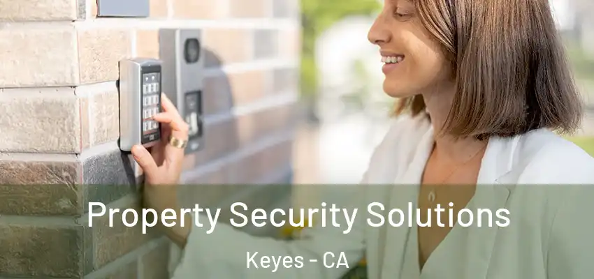  Property Security Solutions Keyes - CA